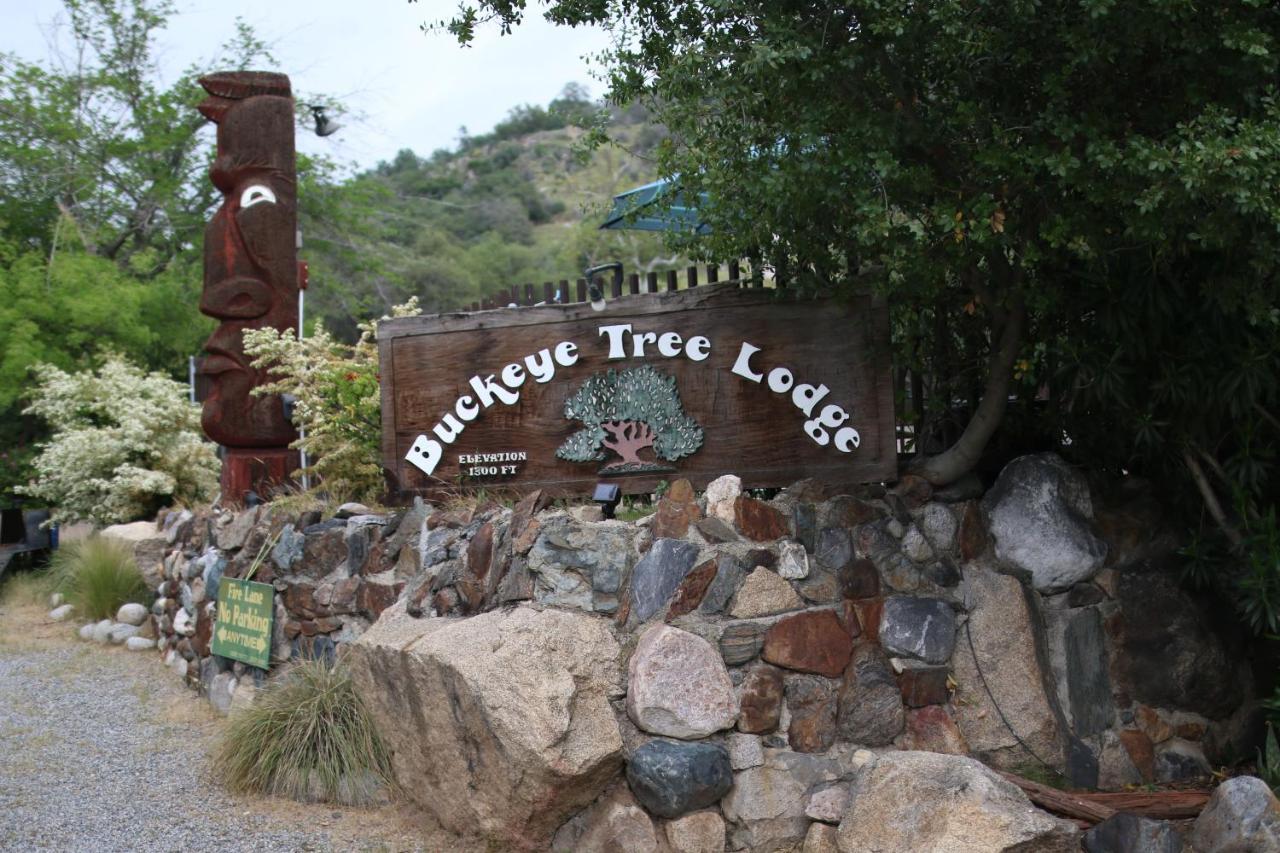 Buckeye Tree Lodge Три Ривърс Екстериор снимка