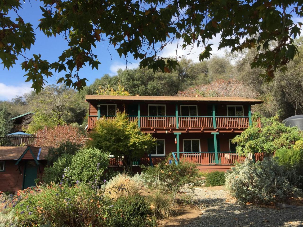 Buckeye Tree Lodge Три Ривърс Екстериор снимка