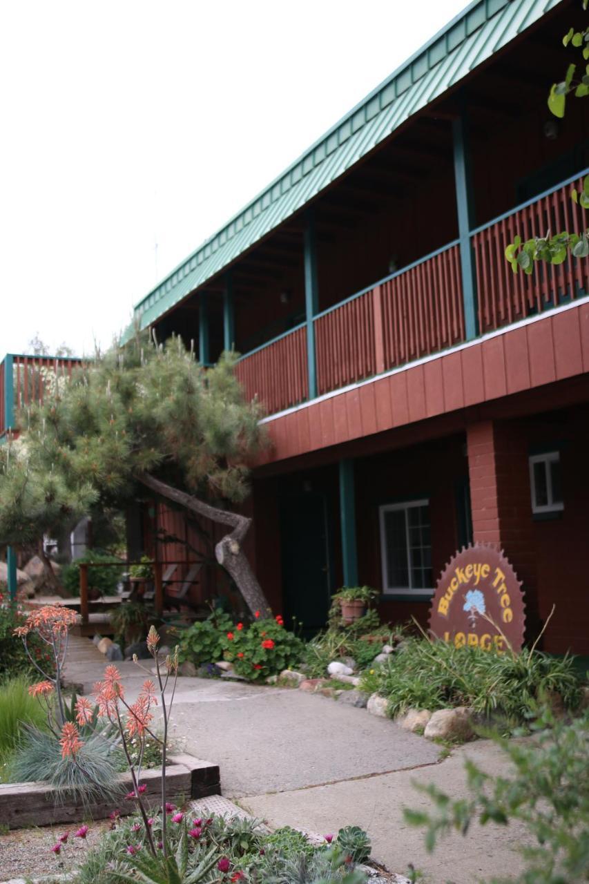 Buckeye Tree Lodge Три Ривърс Екстериор снимка
